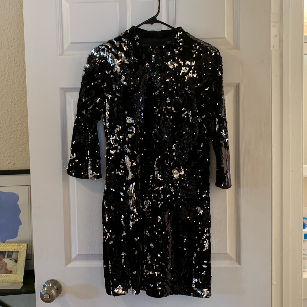 Zara Sequin and Velvet Mini Dress